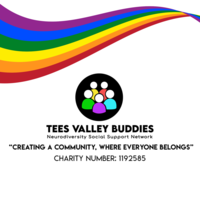 Tees Valley Buddies