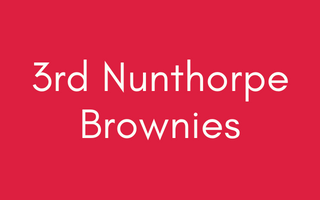 3rd Nunthorpe Brownies