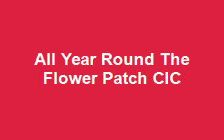 All Year Round The Flower Patch CIC