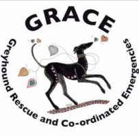 Greyhound Rescue And Co-ordinated Emergencies